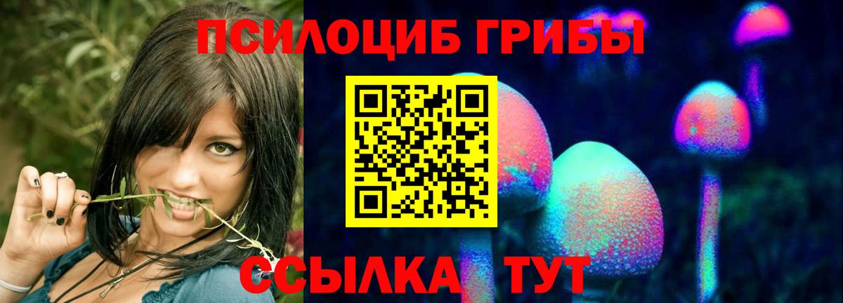 Галлюциногенные грибы прущие грибы  Вход с VPN  Зеленодольск  Псилоцибиновые грибы Magic Shrooms 